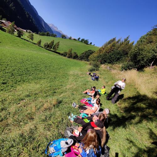 Lesepicknick
