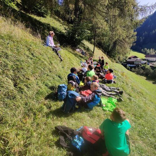 Lesepicknick