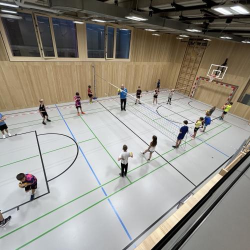Volleyball