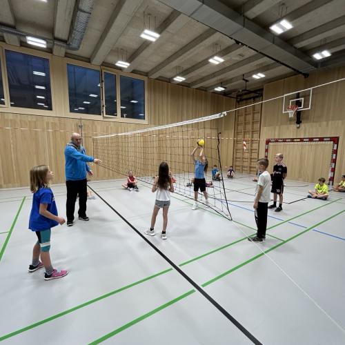 Volleyball