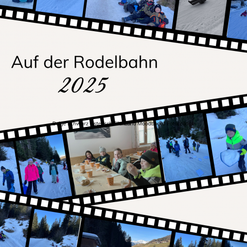Rodeln