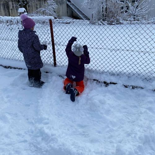 im Schnee