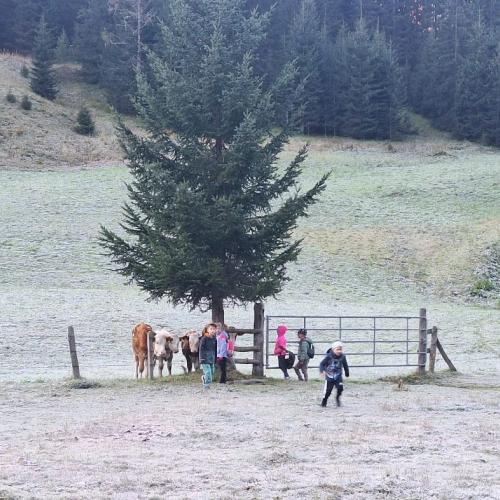 Wandertag