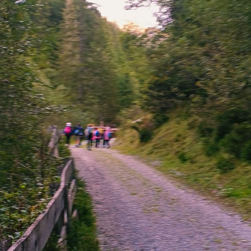 Peeralm