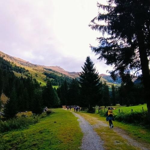 Peeralm