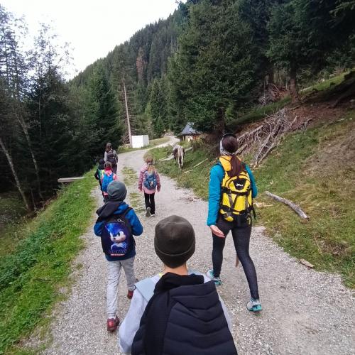 Peeralm