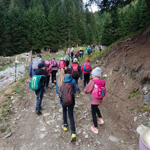 Peeralm