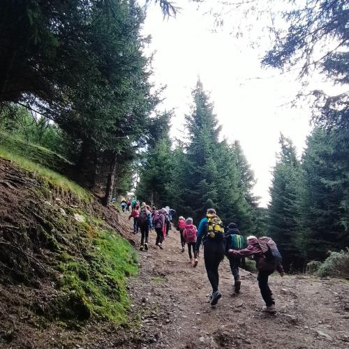 Peeralm