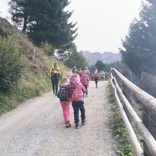 Peeralm