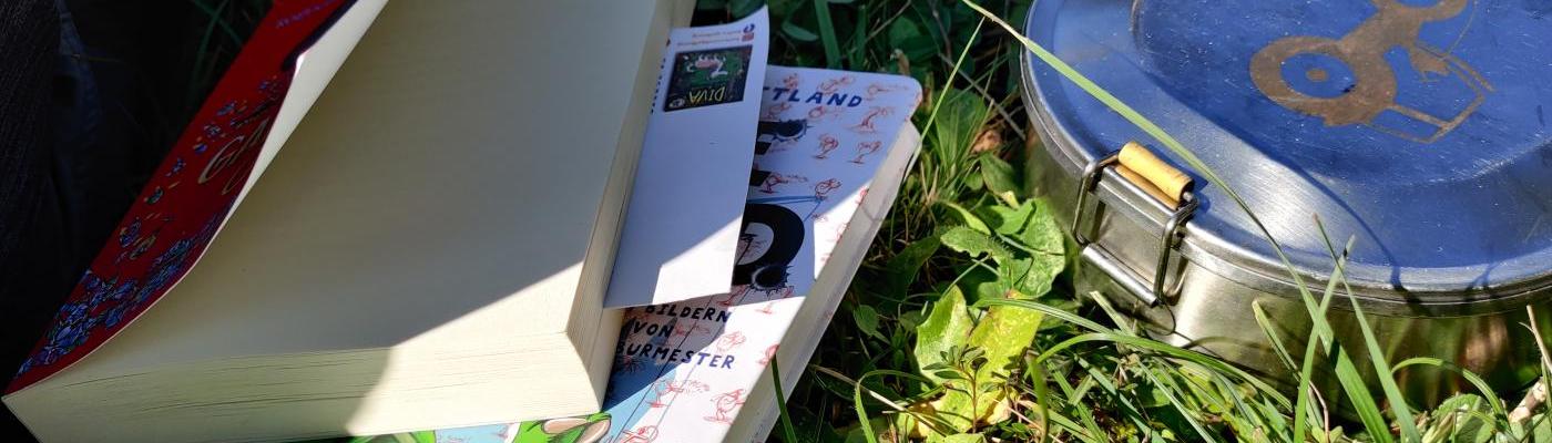 Picknickdose und Buch